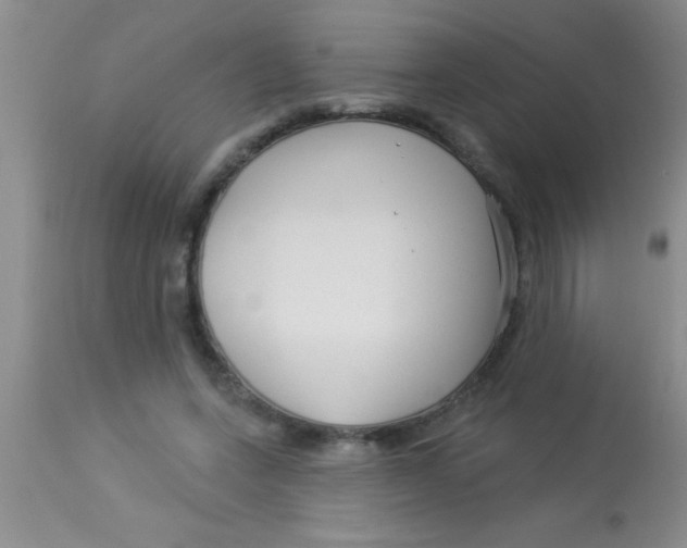 X0000112890543200909181914