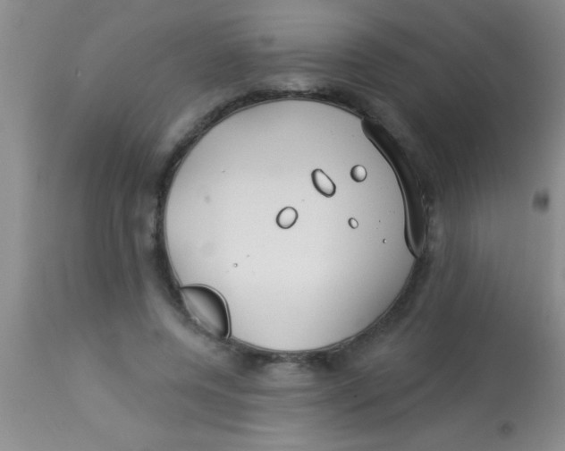 X0000112890544200909181914