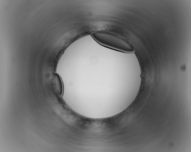 X0000112890546200909181914