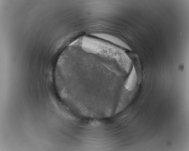 X0000112890547200909181914
