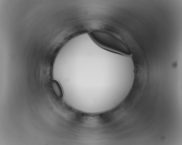 X0000112890548200909181914