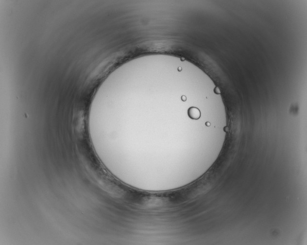 X0000112890549200909181914