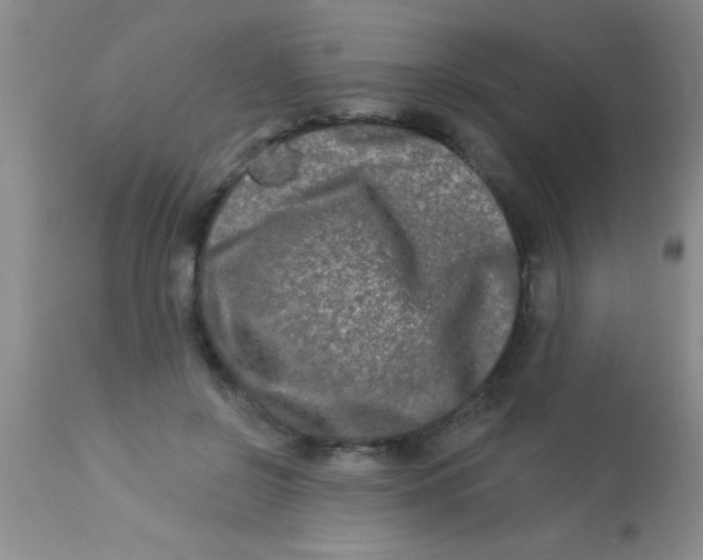 X0000112890550200909181914