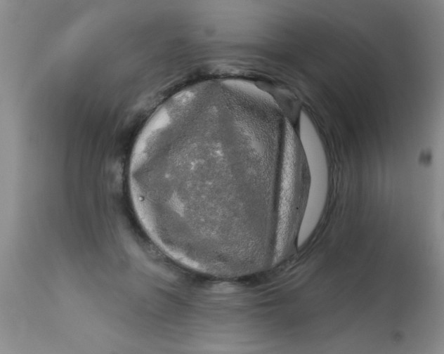 X0000112890551200909181914