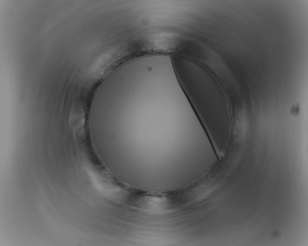 X0000112890552200909181914