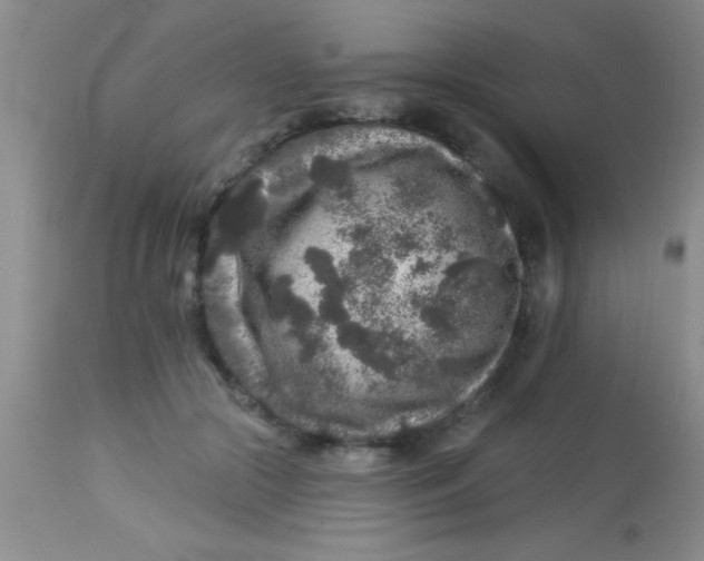 X0000112890553200909181914