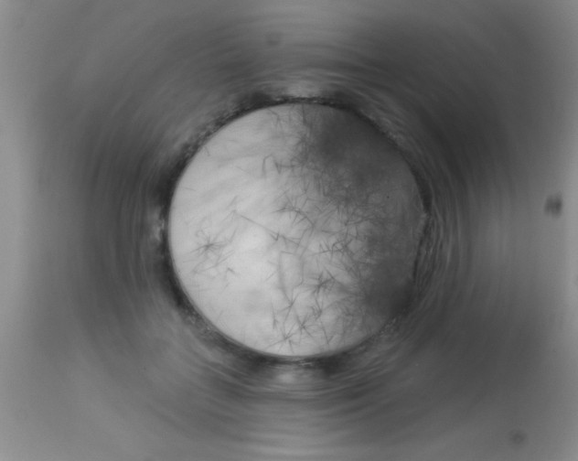 X0000112890555200909181914