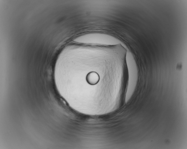 X0000112890556200909181914