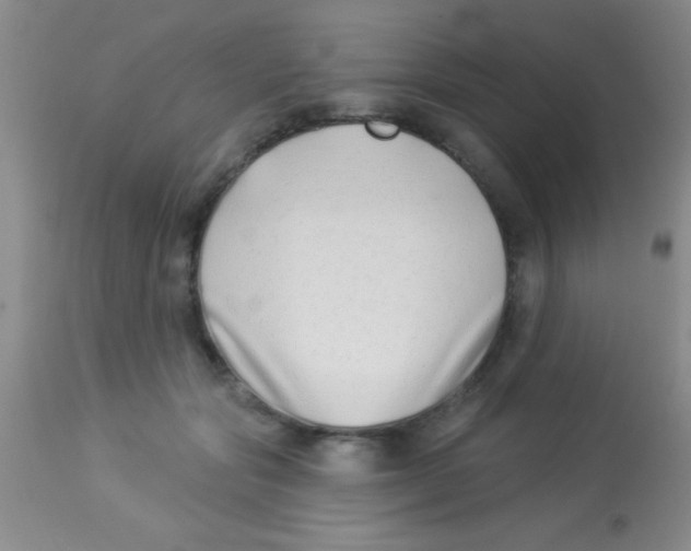 X0000112890557200909181914