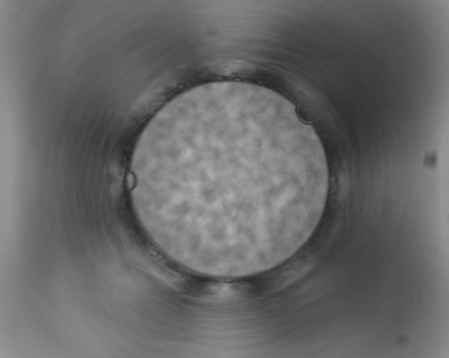 X0000112890558200909181914
