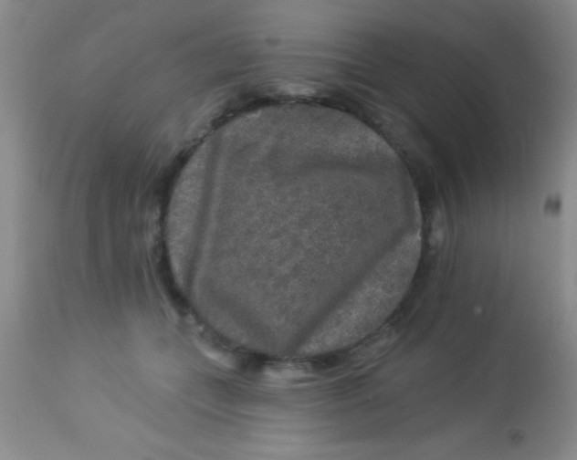 X0000112890559200909181914