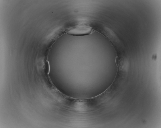 X0000112890560200909181914