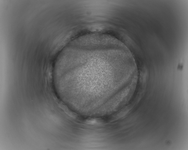 X0000112890561200909181914