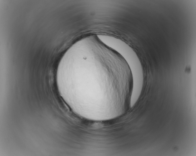 X0000112890562200909181914