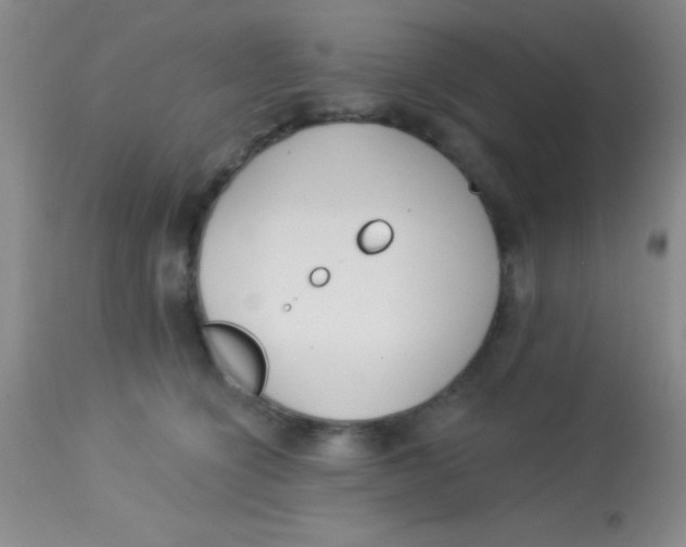 X0000112890564200909181914