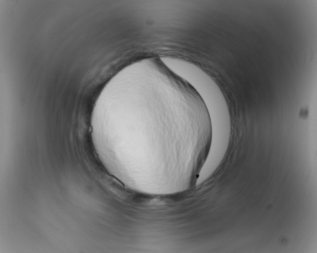 X0000112890566200909181914
