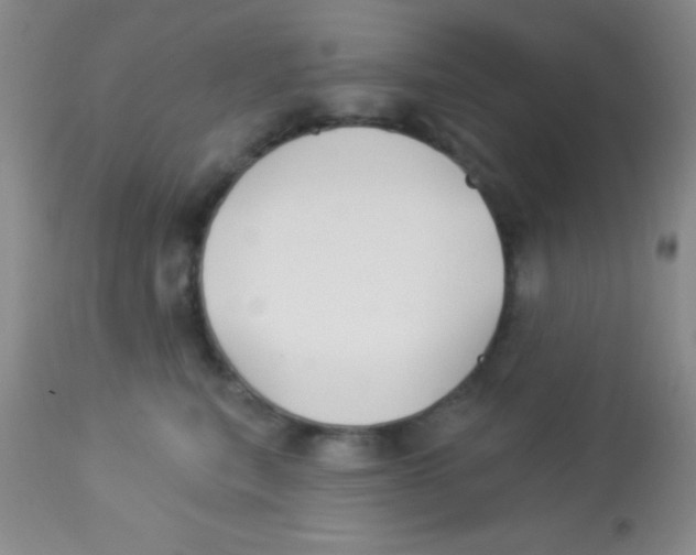 X0000112890567200909181914