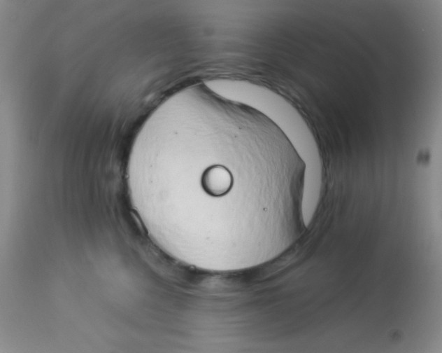 X0000112890568200909181914