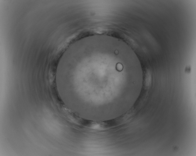 X0000112890569200909181915