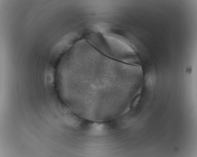 X0000112890570200909181915