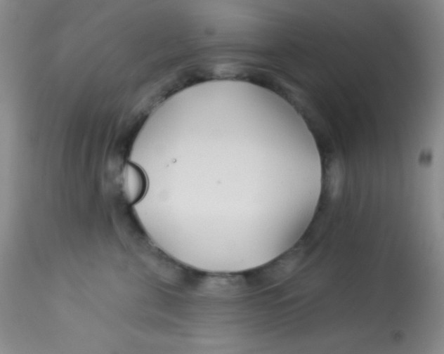X0000112890571200909181915