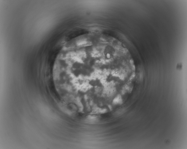 X0000112890573200909181915