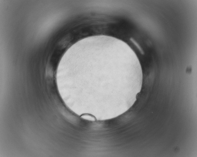 X0000112890574200909181915