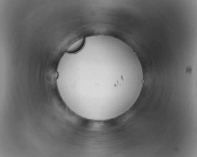 X0000112890575200909181915