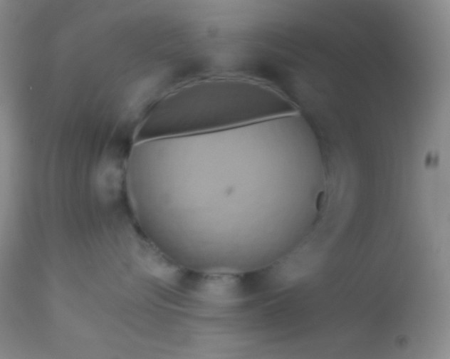 X0000112890576200909181915