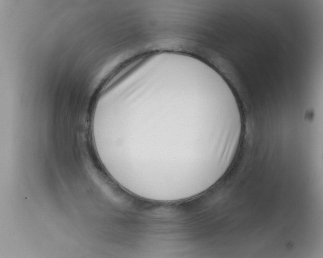 X0000112890578200909181914