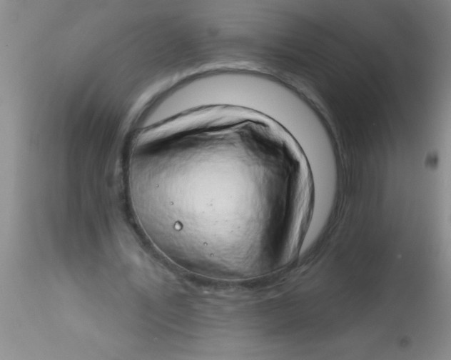 X0000112890579200909181914