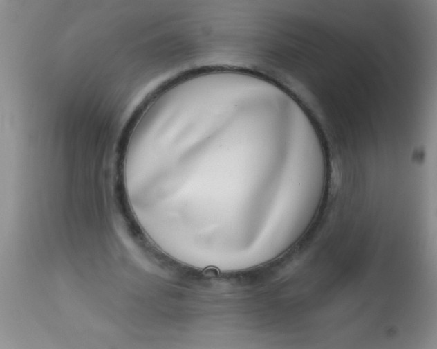 X0000112890580200909181914