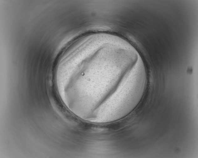 X0000112890582200909181914
