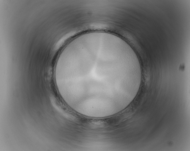 X0000112890583200909181914