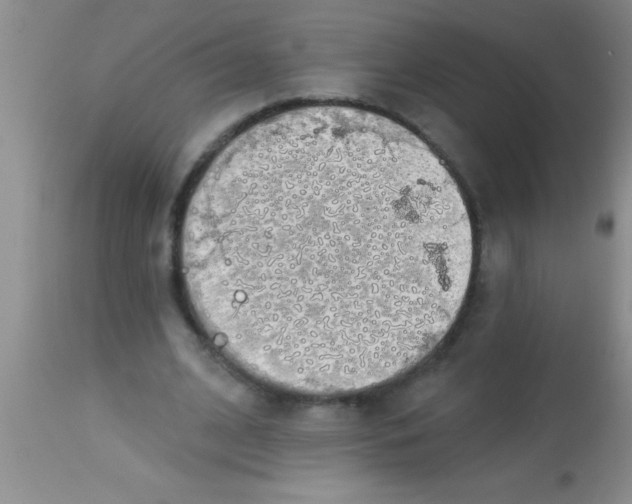 X0000112890584200909181914