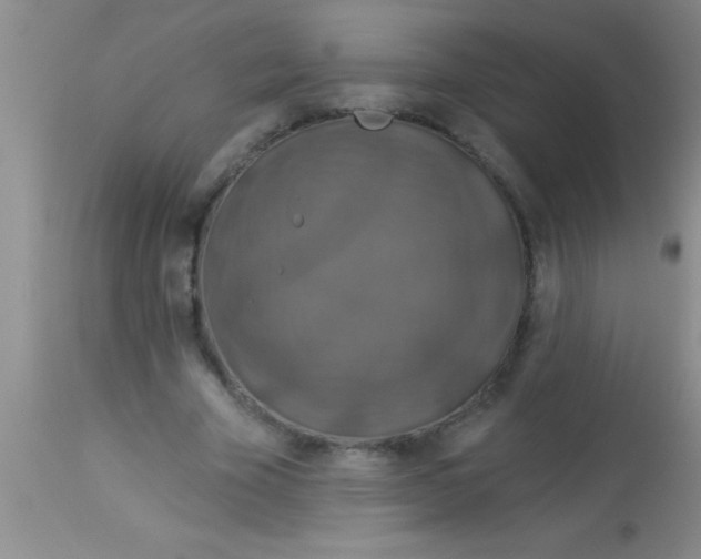 X0000112890585200909181914