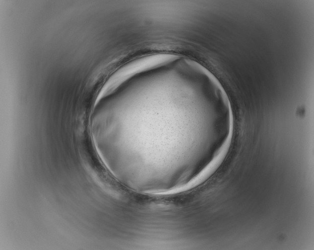 X0000112890586200909181914