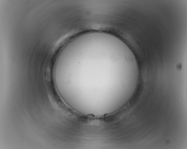 X0000112890587200909181914