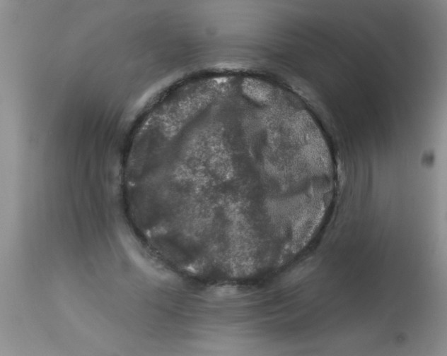 X0000112890588200909181914