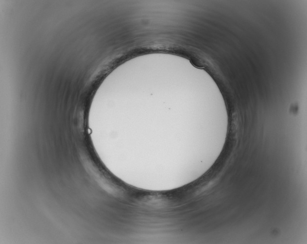 X0000112890589200909181914