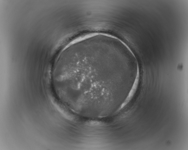 X0000112890590200909181914