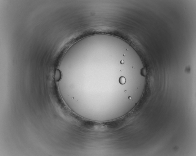 X0000112890591200909181914