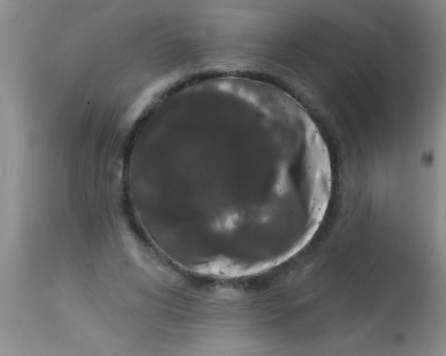 X0000112890592200909181914