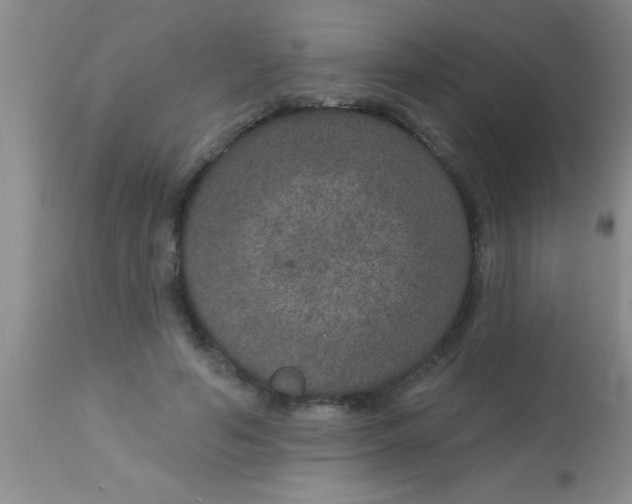 X0000112890594200909181914