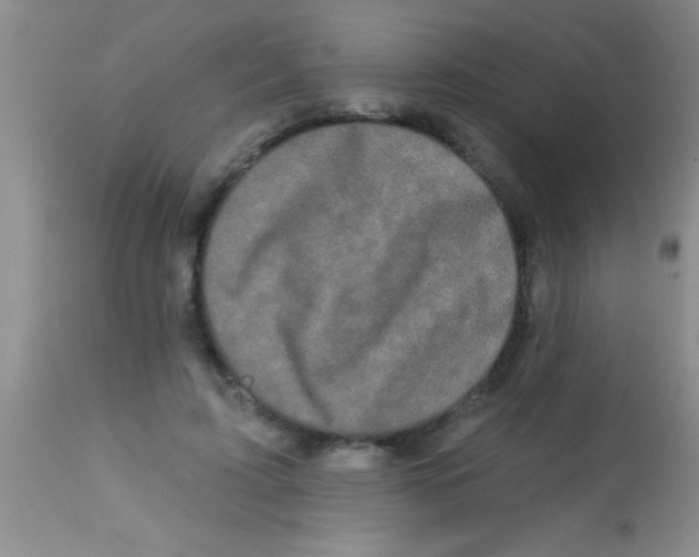 X0000112890595200909181914