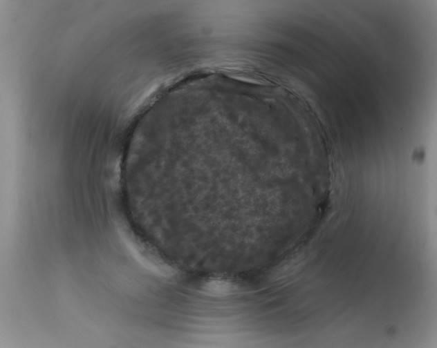 X0000112890596200909181914