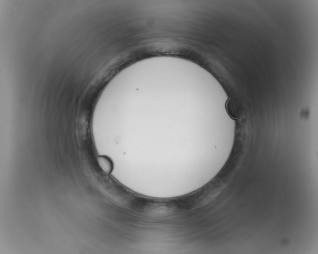 X0000112890597200909181914