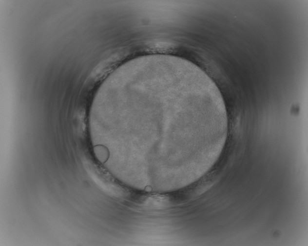 X0000112890599200909181914