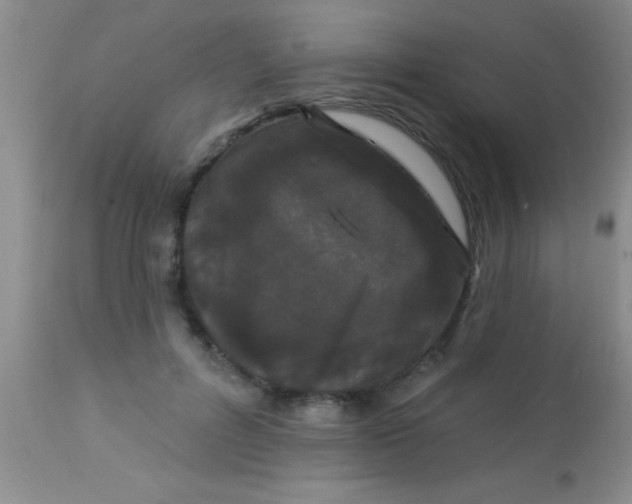X0000112890600200909181914