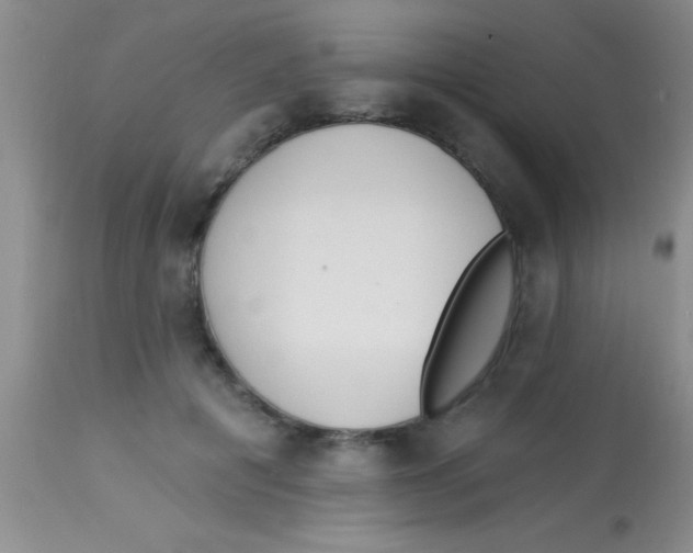 X0000112890601200909181914